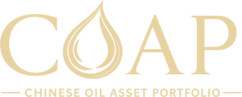 COAF — Chinese Oil Asset Fund